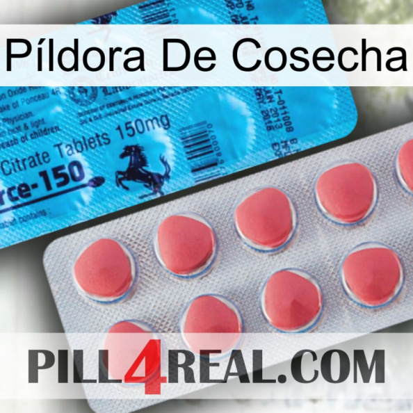 Píldora De Cosecha new14.jpg